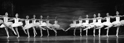 Anonymous - Swan Lake ballet