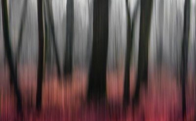Gilbert Claes - Red Wood