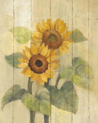Albena Hristova - Summer Sunflowers I on Barn Board