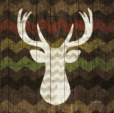 Michael Mullan - Southwest Lodge Deer II