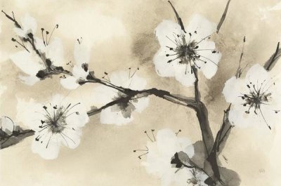 Chris Paschke - Spring Blossoms I Crop