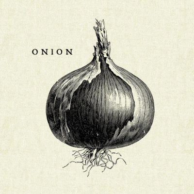 Studio Mousseau - Linen Vegetable BW Sketch Onion