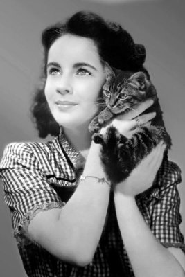 Hollywood Photo Archive - Elizabeth Taylor with a kitten