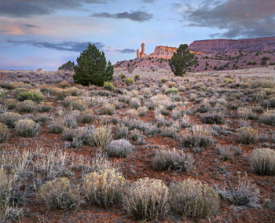 Tim Fitzharris - Rock formation in desert at dawn, Chimney Rock, Ghost Ranch, New Mexico