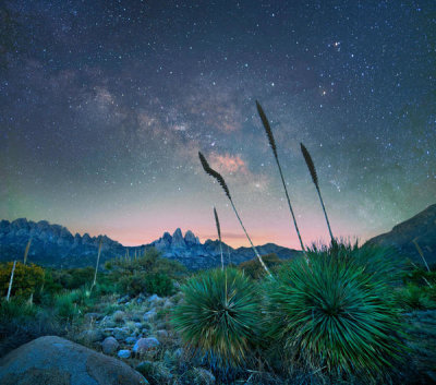Tim Fitzharris - Agave group at night, Organ Mountains-Desert Peaks National Monument, New Mexico
