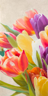 Luca Villa - Spring Tulips I
