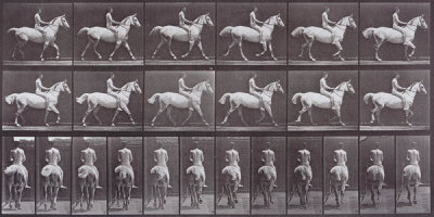 Eadweard Muybridge - Animal Locomotion