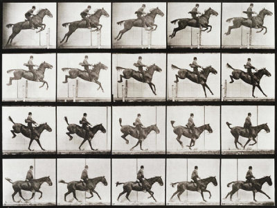 Eadweard Muybridge - Animal Locomotion, Plate 637