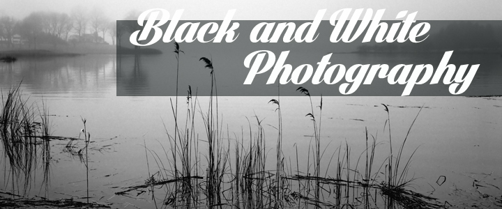 Black and White Photography