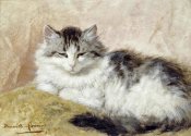Henriette Ronner-Knip - A Cat