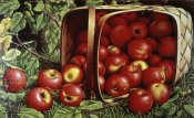Levi Wells Prentice - Basket of Apples