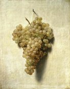 Louis Leopold Boilly - White Grapes (Raisons Blancs)