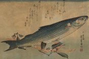 Ando Hiroshige - Striped mullet, 1834