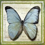 Karen J. Williams - Butterfly