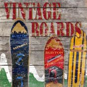 Karen J. Williams - Vintage Snow Boards