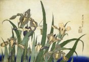 Hokusai - Irises