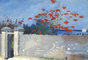 Winslow Homer - A Wall Nassau