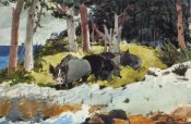 Winslow Homer - Bermuda Settlers