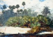 Winslow Homer - In A Florida Jungle