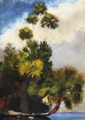 Winslow Homer - Palm Trees Florida