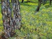 Vincent Van Gogh - Pine Trees And Dandelions In The Garden Of Saint Paul Hospital 1890