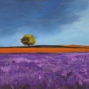 Philip Bloom - Field of Lavender (Left Detail)