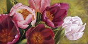 Jenny Thomlinson - My Tulips