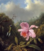 Martin Johnson Heade - Fighting Hummingbirds With Pink Orchid