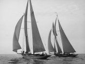 Edwin Levick - Sailboats Race during Yacht Club Cruise