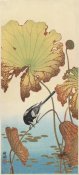 Ohara Koson (Shoson) - Wagtail and Lotus, ca. 1915
