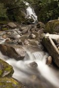 Matthias Breiter - Unnamed waterfall along South Tongass Highway, Ketchikan, Alaska