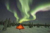 Matthias Breiter - Northern lights or aurora borealis over illuminated tent, boreal forest, North America