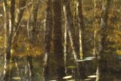 Gerry Ellis - Reflection of Red Alder and Vine Maple in quiet waters of Upper Necanicum River, Oregon