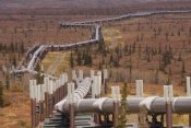 Gerry Ellis - Oil pipeline crossing taiga, Alaska