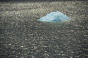 Gerry Ellis - Icebergs in Bransfield Strait, Antarctic Peninsula, Antarctica