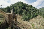 Gerry Ellis - Deforested hillside of wet montane rainforest near Los Cedros Biological Reserve, Choco Phytogeographic region, northwest Ecuador