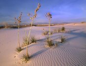 Tim Fitzharris - White Sands National Monument, New Mexico