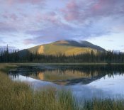 Tim Fitzharris - Pond reflecting Nisling Range, Yukon, Canada