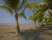 Tim Fitzharris - Playa Esterillos Este, Puntarenas, Costa Rica