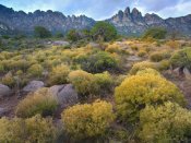Tim Fitzharris - Organ Mountains, Chihuahuan Desert, New Mexico
