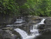 Tim Fitzharris - Dismal Falls, Jefferson National Forest, Virginia