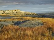 Tim Fitzharris - Tidal marsh, Riviere-Trois-Pistoles, Quebec, Canada