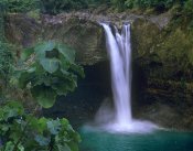 Tim Fitzharris - Rainbow Falls cascading into pool, Big Island, Hawaii