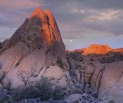Tim Fitzharris - Moon over rocks, Joshua Tree National Park, California