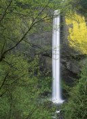 Tim Fitzharris - Latourell Falls, Columbia River Gorge near Portland, Oregon