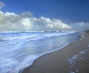 Tim Fitzharris - Storm cloud over beach, Canaveral National Seashore, Florida