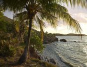 Tim Fitzharris - Wilkes Point at sunset with palm trees, Roatan Island, Honduras