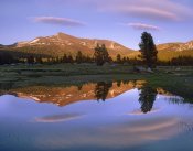 Tim Fitzharris - Mount Dana reflected in pond, Yosemite National Park, California