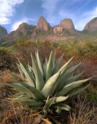Tim Fitzharris - Chisos Agave and the Chisos Mountains, Big Bend National Park, Texas