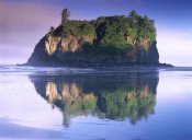Tim Fitzharris - Abbey Island looms over Ruby Beach, Olympic National Park, Washington